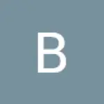 Brayden Hwrden avatar
