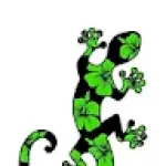 Joe Gecko (joegecko) avatar