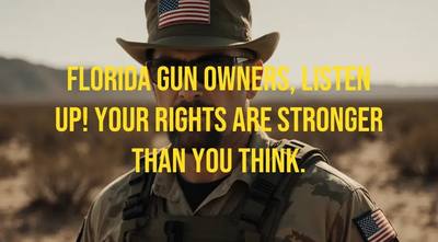 Ultimate Guide to Withhold of Adjudication and Your Gun Rights group photo