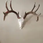 glenn farmer avatar