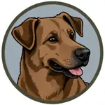 Test User avatar