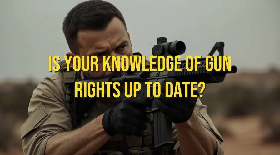 Unlocking Florida Gun Law: Essential Insights from the 5th Edition