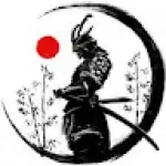 Steve Hall avatar
