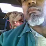 dameon smith avatar