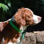 Sweetwater Kate avatar